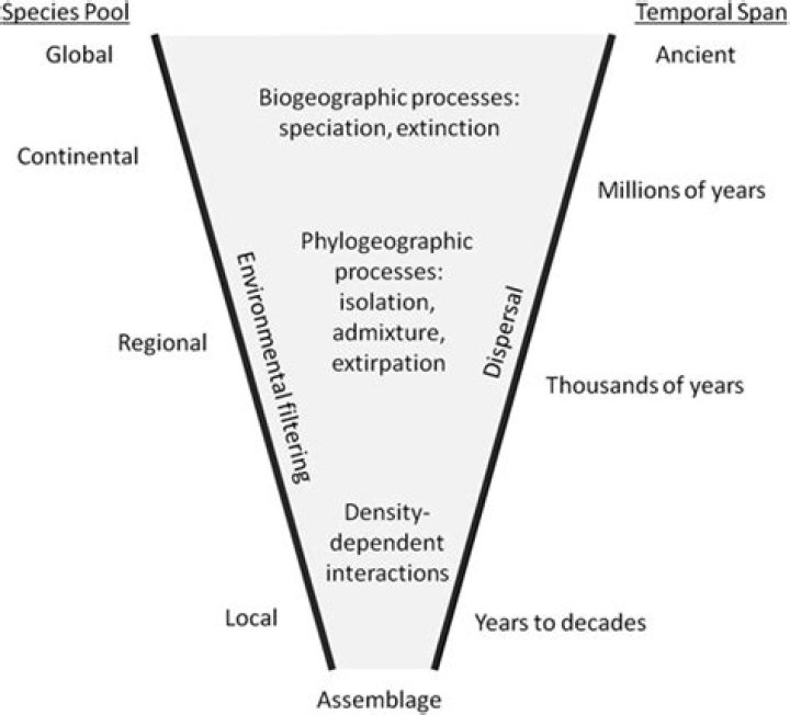 What is continuum in ecology