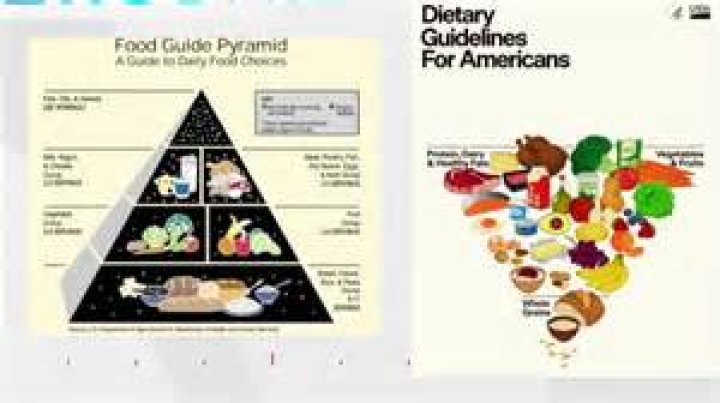 What is dietary intake data