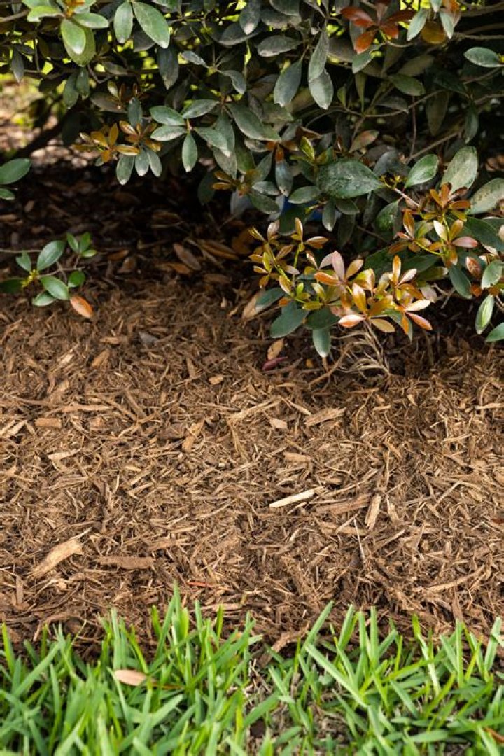 What is double ground mulch