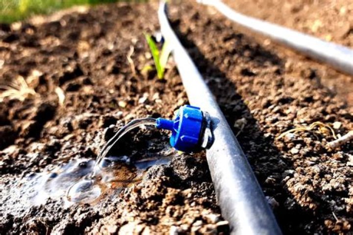 What is drip line irrigation