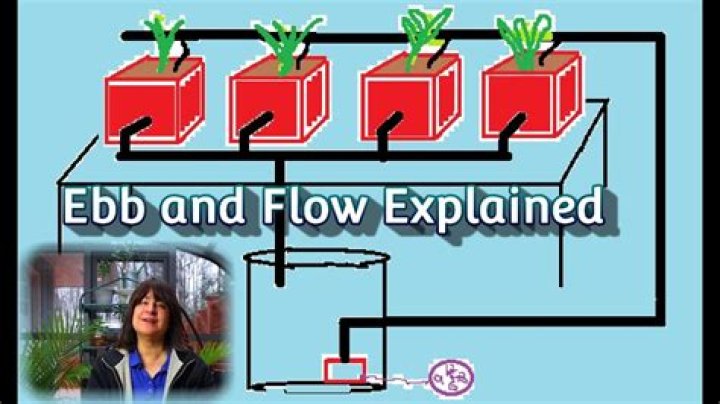 What is ebb and flow systems