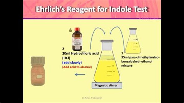 What is Ehrlich reagent test