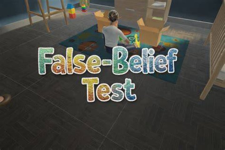 What is false belief test