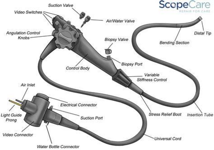 What is fiberoptic endoscope