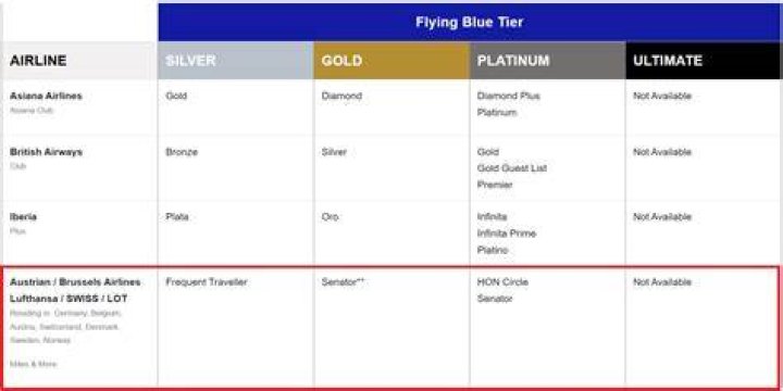 What is flying Blue Ultimate