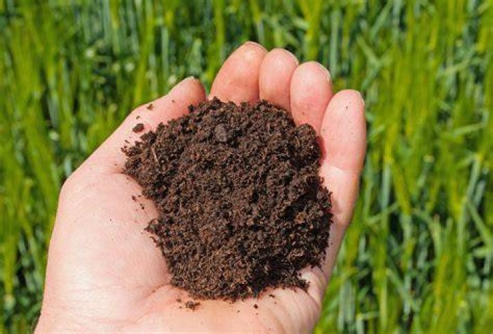 What is good quality topsoil