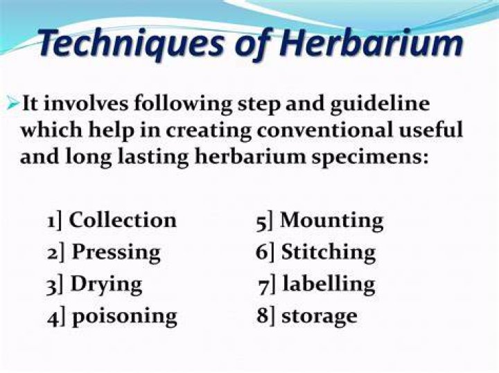 What is herbarium techniques