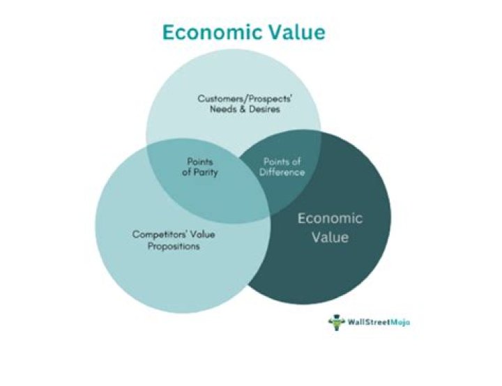 What is human economic value