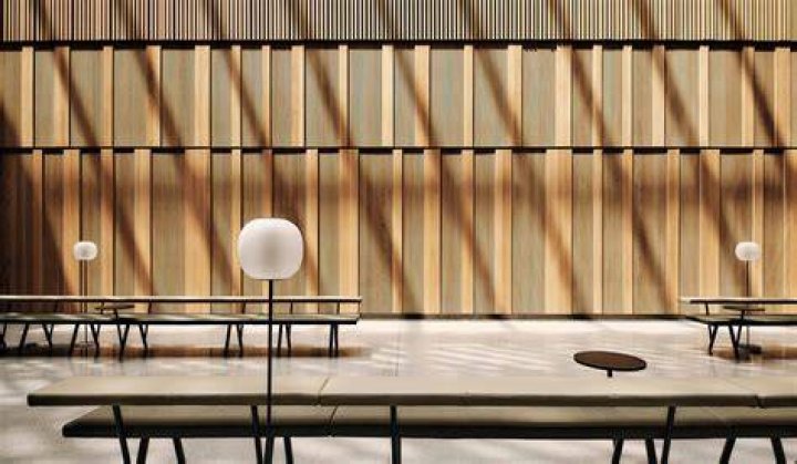 What is Iida interior design