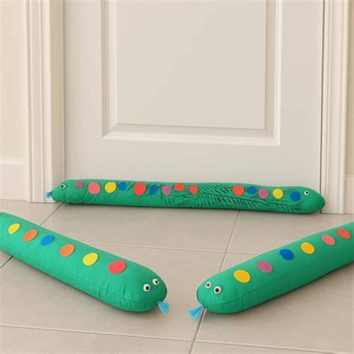 What is inside a door snake