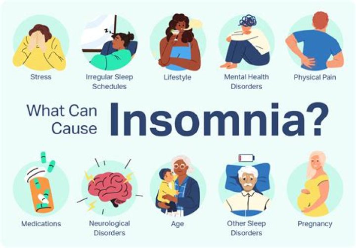 What is insomnia REST client