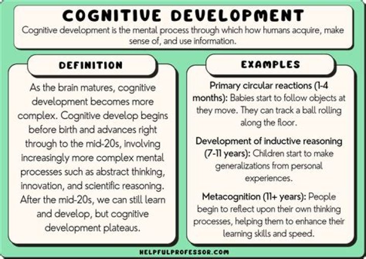 What is intellectual development in child development