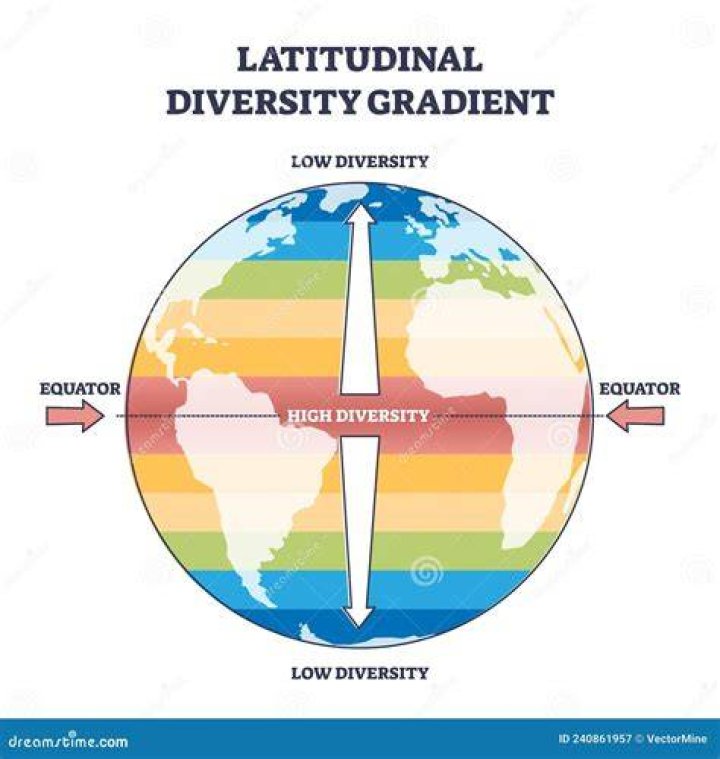 What is latitudinal gradient