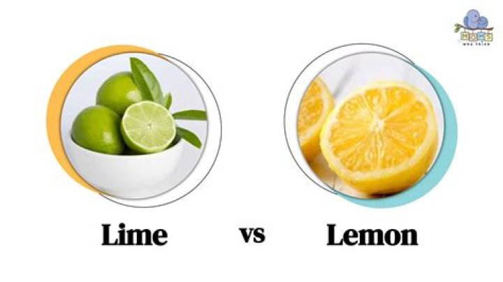 What is lime render used for