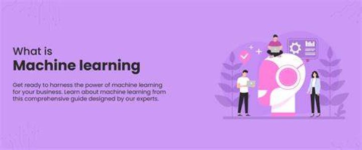What is machine reductionism