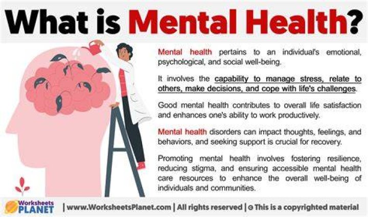 What is meant by mental map