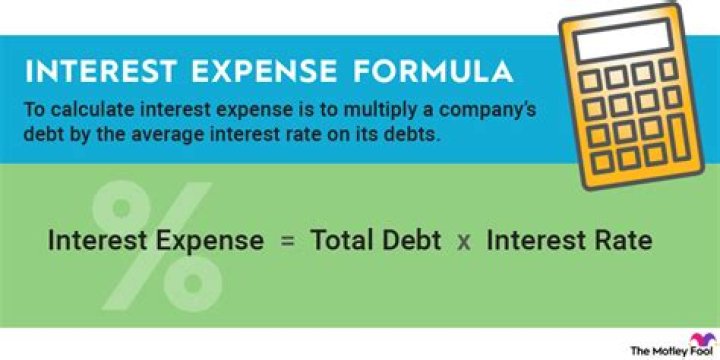What is net interest expense