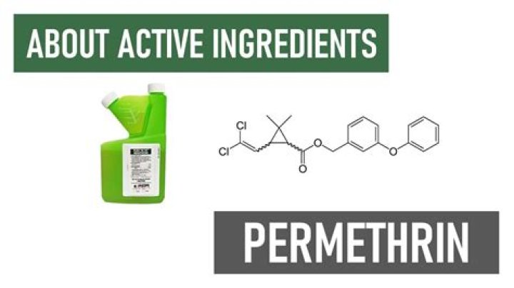 What is permethrin made from