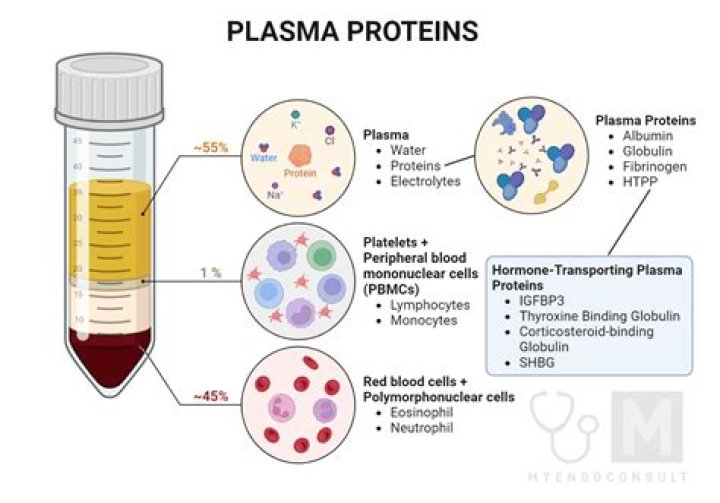 What is plasmatic imbibition