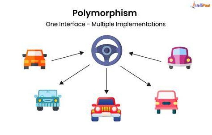What is polymorphism in DBMS