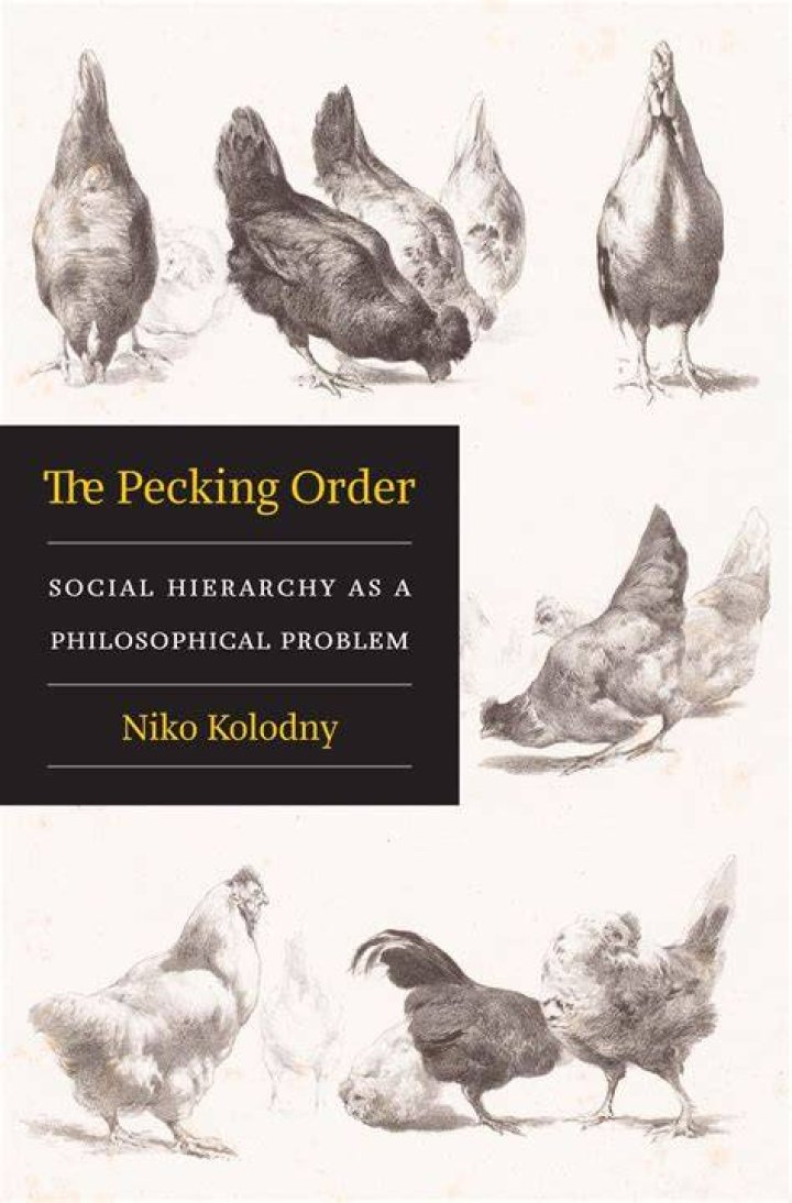 What is Popos pecking order
