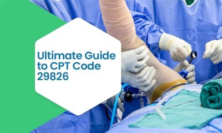 What is procedure code 22558