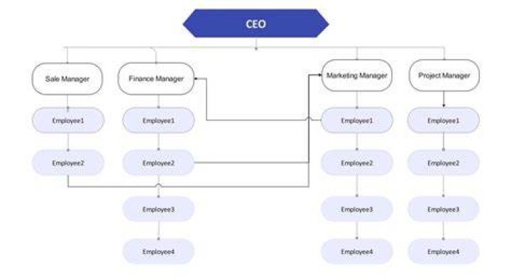 What is product organization