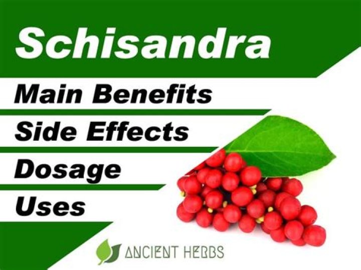 What is schisandra used for