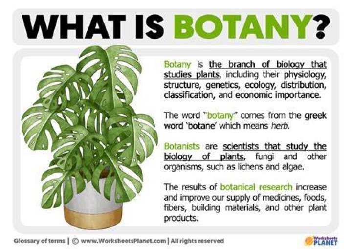 What is selection in botany