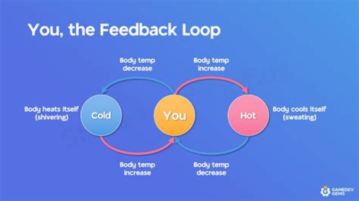 What is single loop feedback