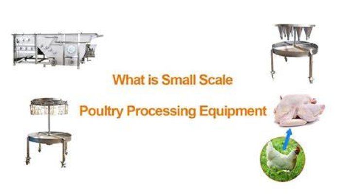 What is small scale poultry