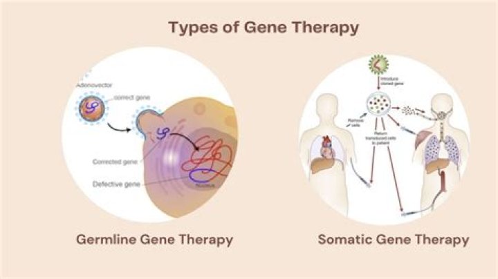 What is somatic gene therapy