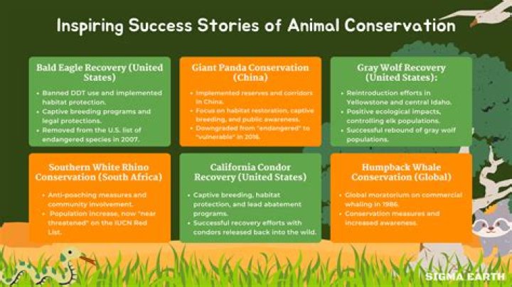 What is species conservation