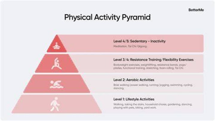 What is the activity pyramid