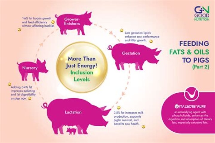 What is the basic nutrition