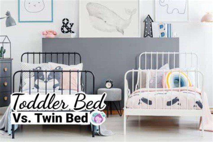What is the difference between a toddler bed and a daybed
