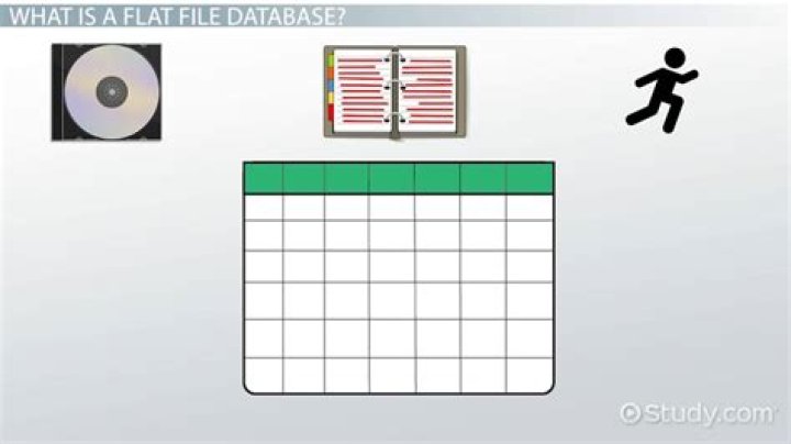 What is the flat file system