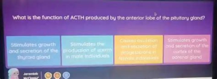 What is the function of ACTH