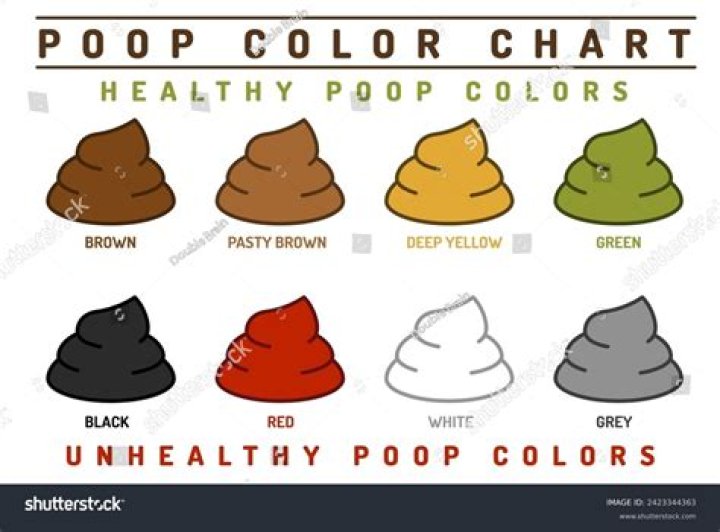 What is the healthiest poop