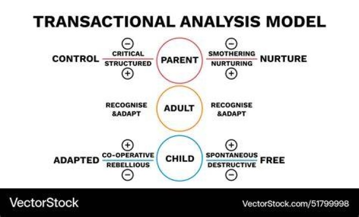 What is transactional theory