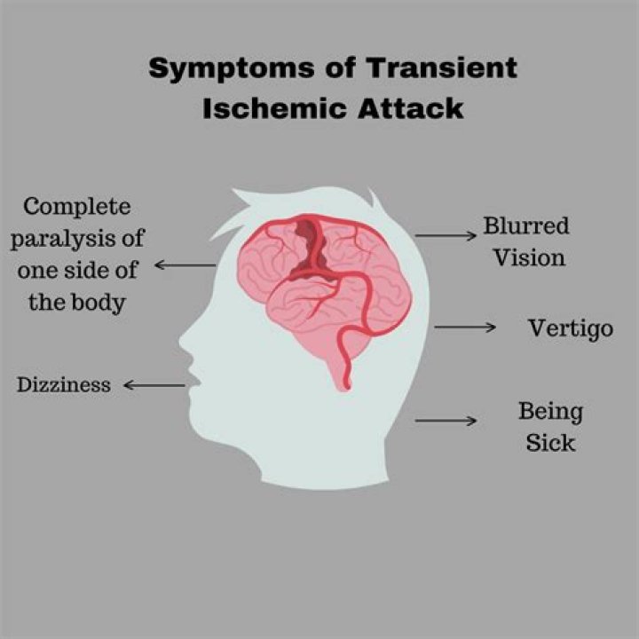What is transient education