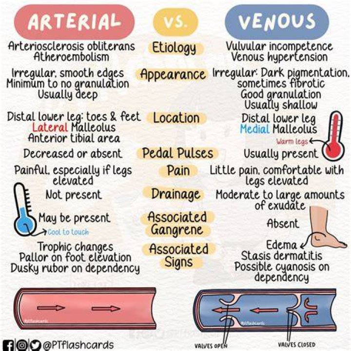 What is venous blood testing