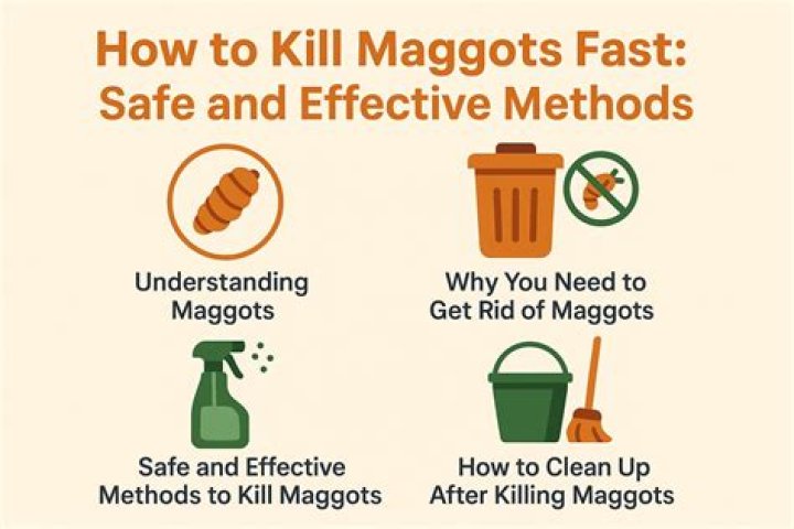 What kills maggots instantly