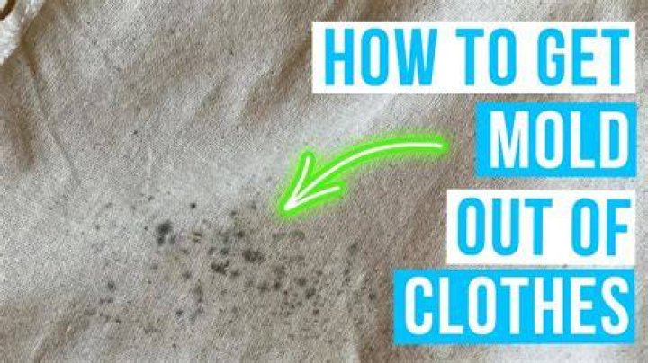 What kills mildew on fabric