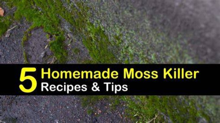 What kills moss permanently