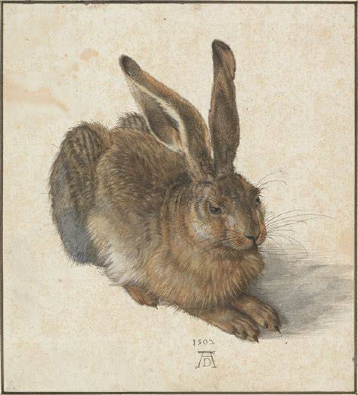 What materials did Durer use