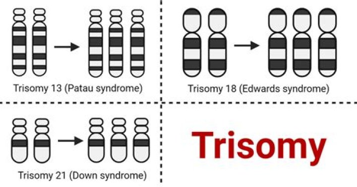 What mutations cause trisomy