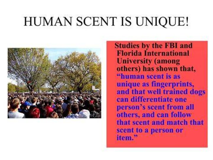 What neutralizes human scent