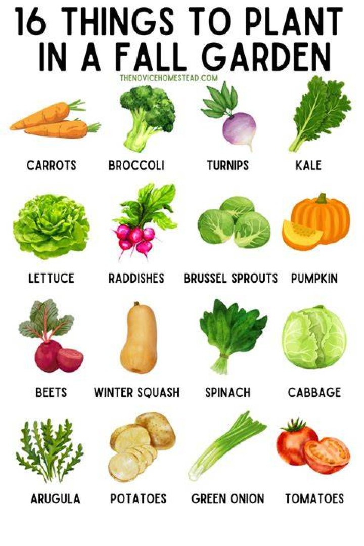 What plant grows during fall