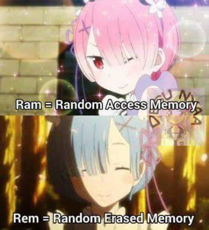 What REM means